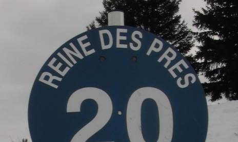 Reine des Prés