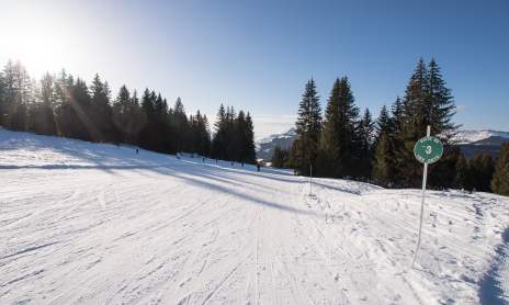 Piste 64