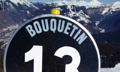 Bouquetin