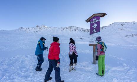 Pedestrian itinerary in the ski area - "Les Tamalous"
