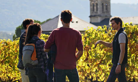 Apéro'vignes au Domaine de l'Idylle