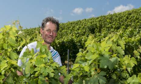 Apéro'vignes aux Fruits de la Treille