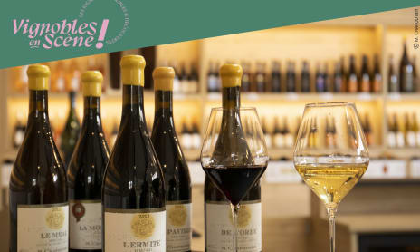 Visite de nos vignes et dégustation en accords mets et vins - Maison M. CHAPOUTIER