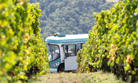 Côte-Rôtie Tour
