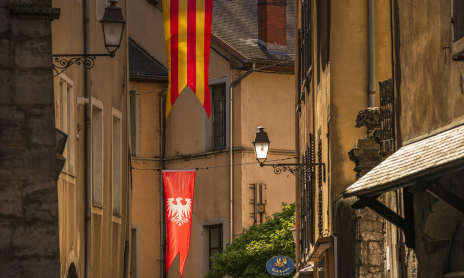 Guided night tour in French: Chambéry, la nocturne
