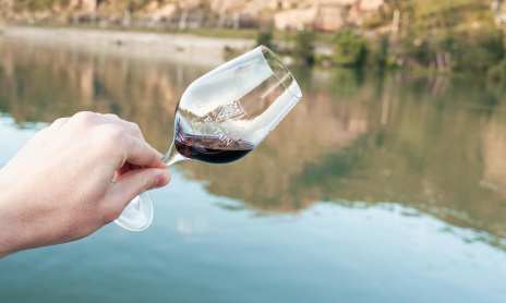 Apéro sur l'eau entre Saint-Joseph et Hermitage - les Canotiers et Terre de Syrah