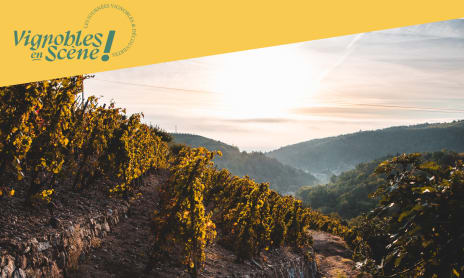 Rando Wine au Domaine Gaillard