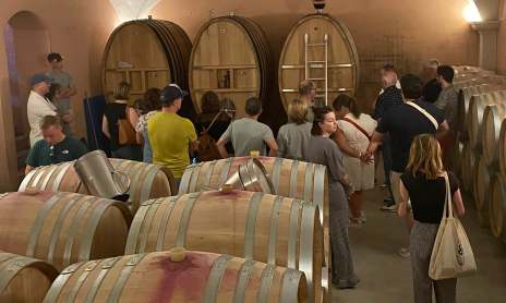 Apéro'Vignes au Domaine Jean Vullien