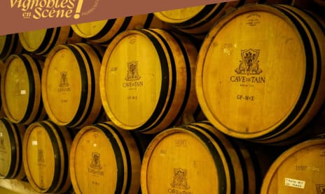 Du marché à l'assiette...et au verre ! - Terres de Syrah