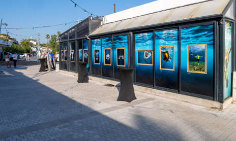 Outdoor Exhibition at the Terraces of Nouveau Port