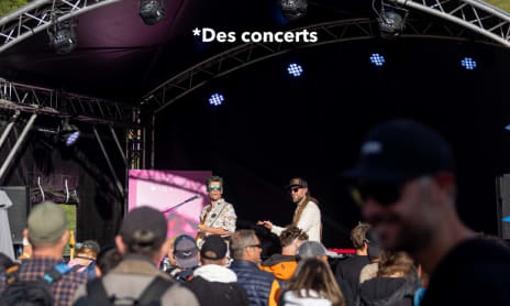 Concert - DJ set Monster
