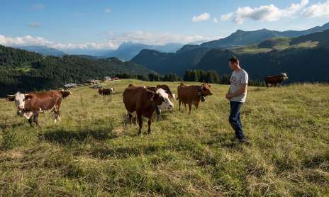 Caly Farm