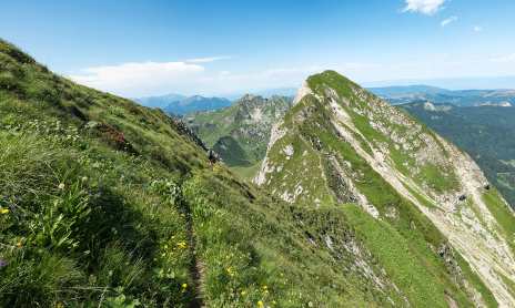 Alps'Chill
