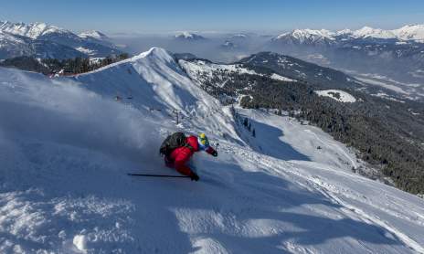 Ski area
