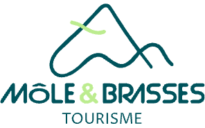 Logo mole-brasses