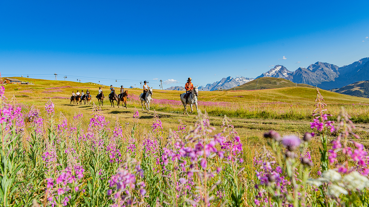 Horse riding | Activities