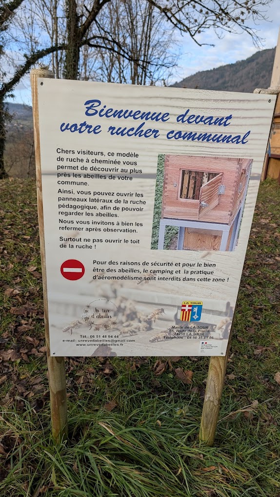 Community Apiary | Activities