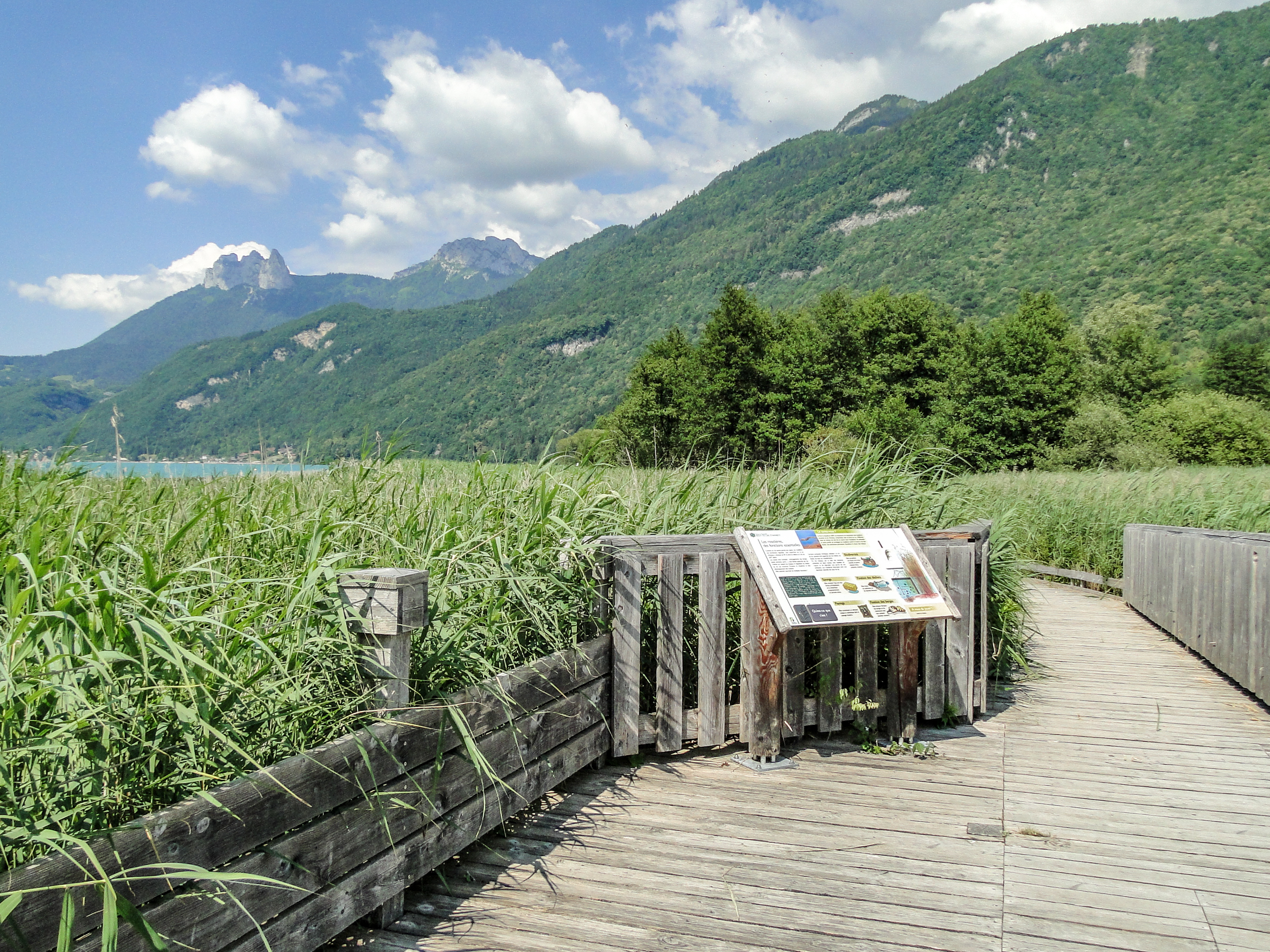 Sentier pédestre de la réserve naturelle du Bout du Lac d... | Itineraires