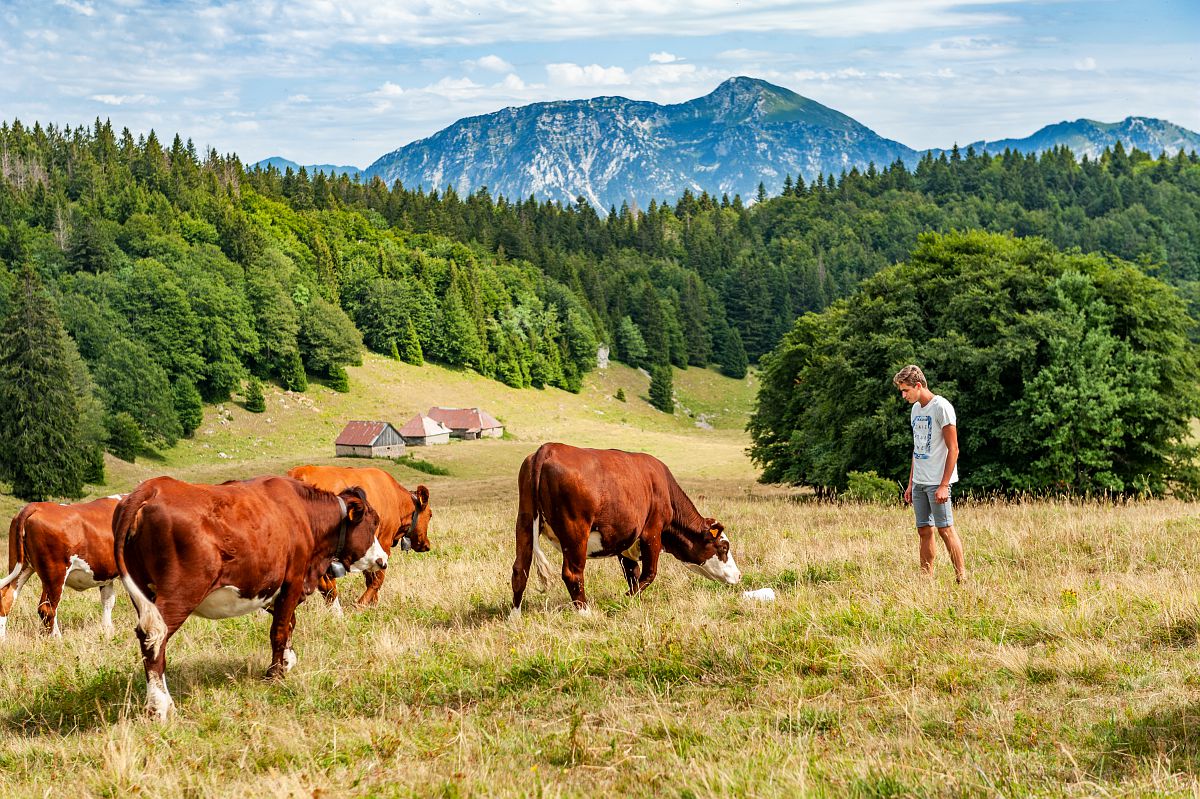 Le Creux de Lachat en boucle par le col de la Cochette | Itineraires