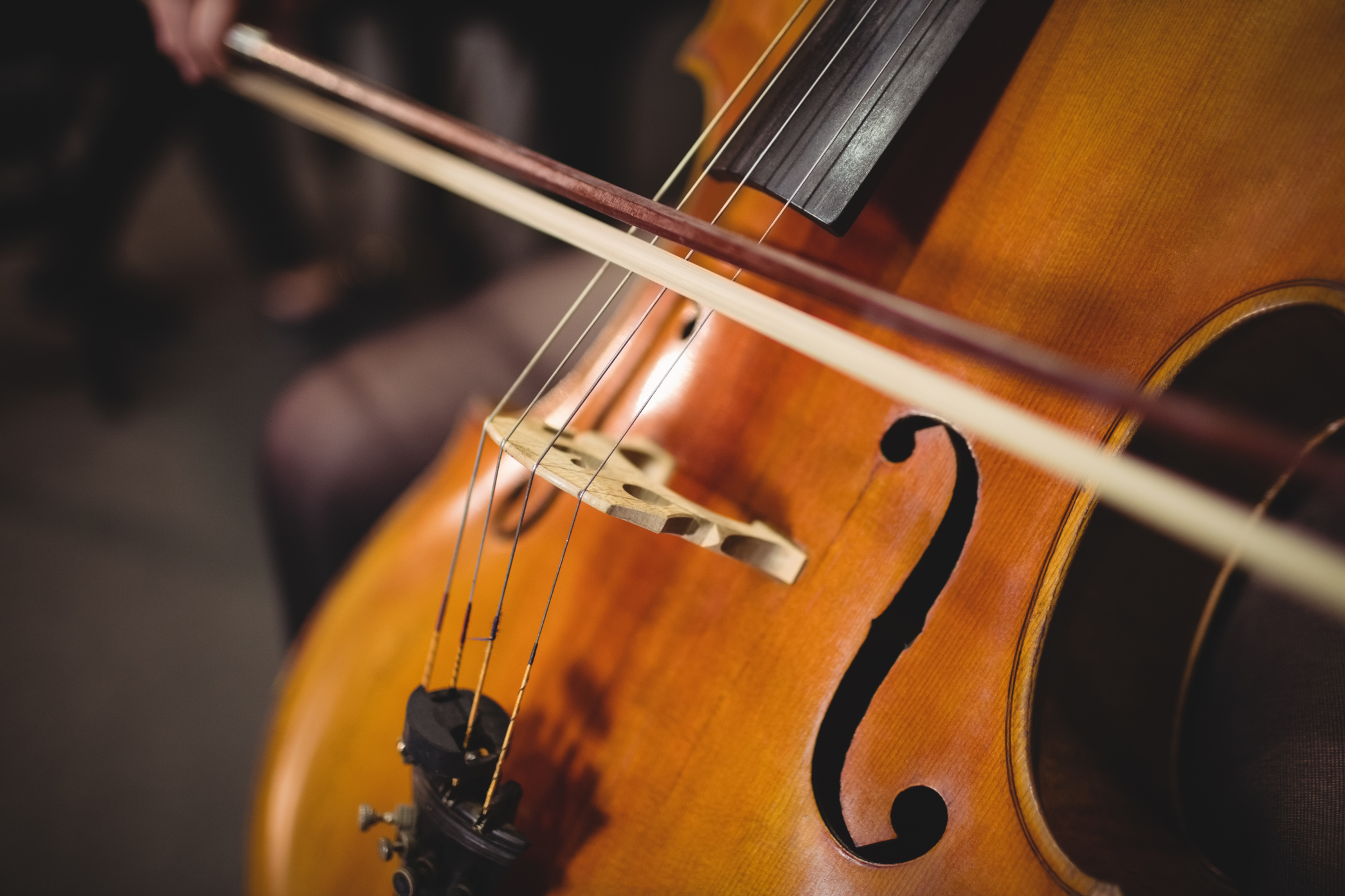 Closing concert of the 23rd Spring Cello | Events
