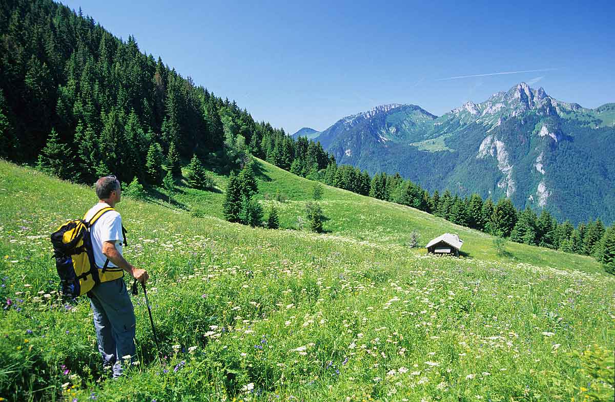 Alpi'Rando et VTT | Shops and services