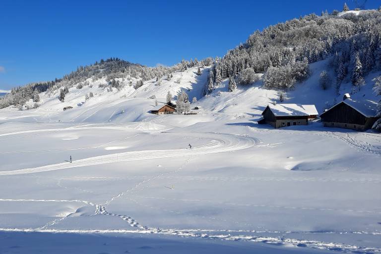 Plaine-Joux - Massif des Brasses image2