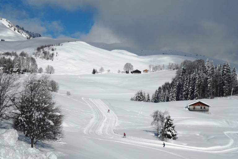 Plaine-Joux - Massif des Brasses image1