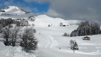 image Plaine-Joux - Massif des Brasses + services/activities/8182/18867556