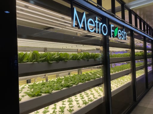 Demonstration_of_growing_vegetables_by_applying_hydroponics_in_an_MRT_statoin_in_Taipei1_ssh5is