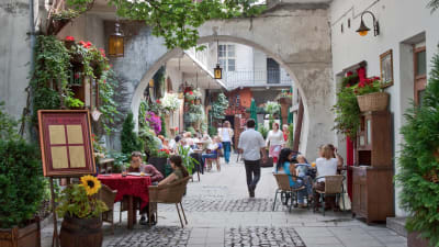 En liten gr�nd fylld med uteserveringar och v�xtlighet.