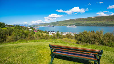 En parkbnk str p en grn kulle.  Bnken tittar ut ver en fjord. Det r tv kryssningsbtar i fjorden.