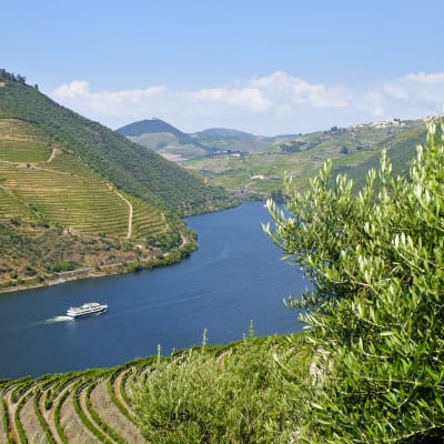 Kryssning p Douro