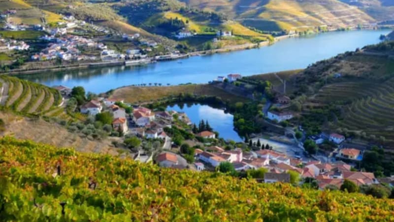 Senhora de Ribeira - Leverinho