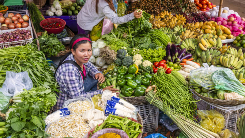 Ankomst Siem Reap