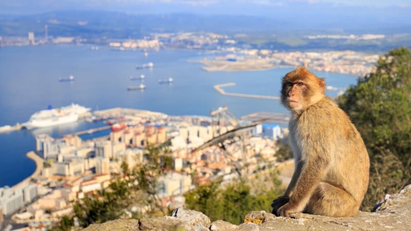 Gibraltar