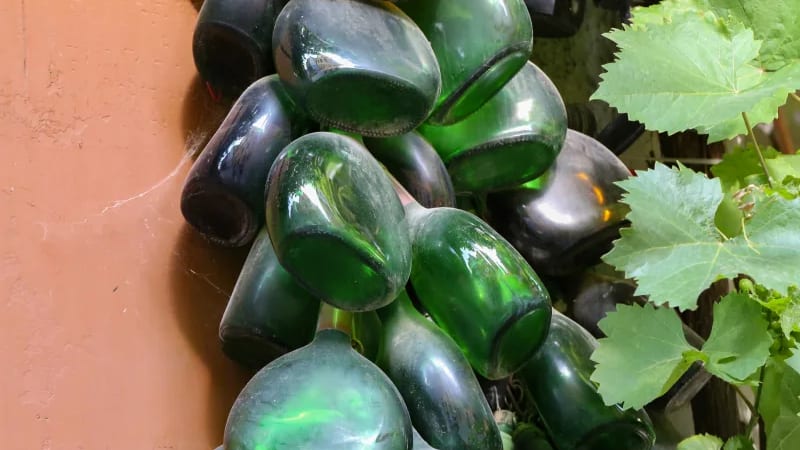 Franken och dess viner