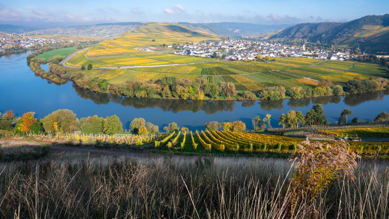 Cykel: Traben-Trarbach till Trittenheim (ca 45 km)