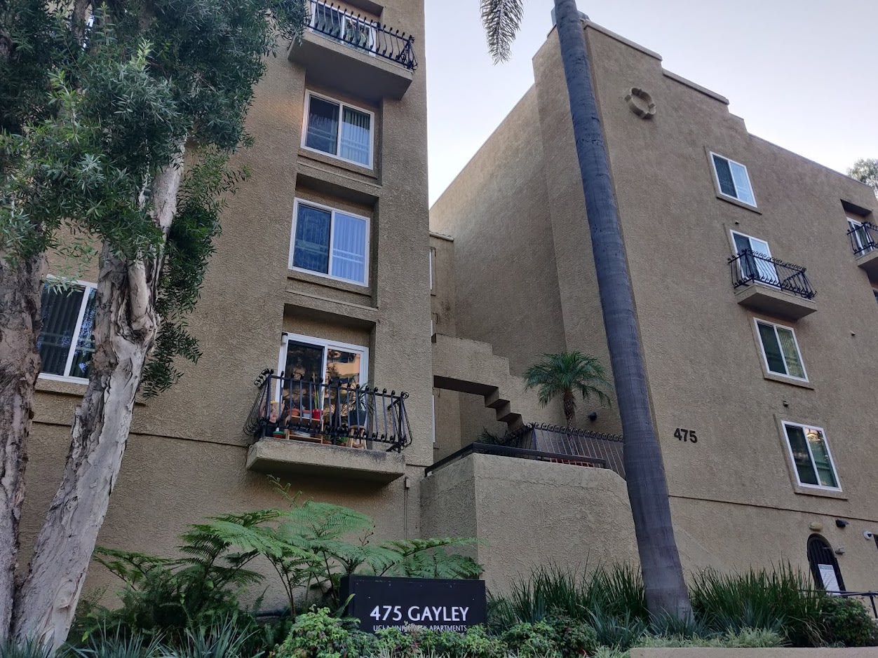 Westwood Palm, ucla, 475 Gayley Avenue Los Angeles 90024