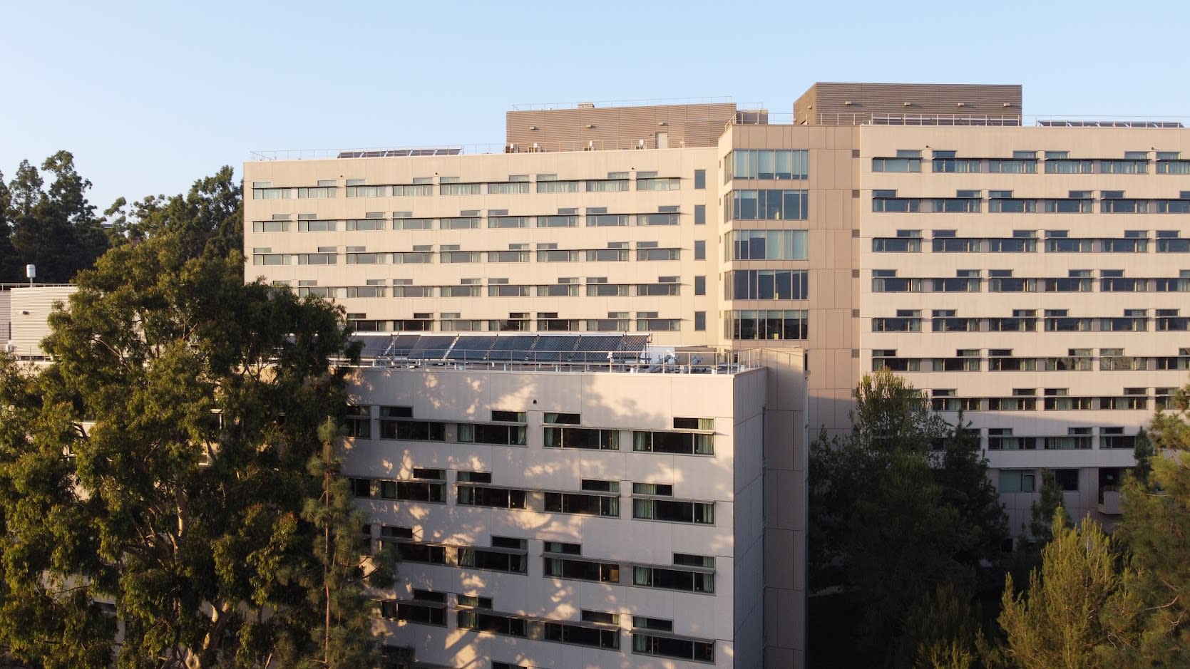 Holly, ucla, 345 De Neve Drive, Los Angeles, CA 90024