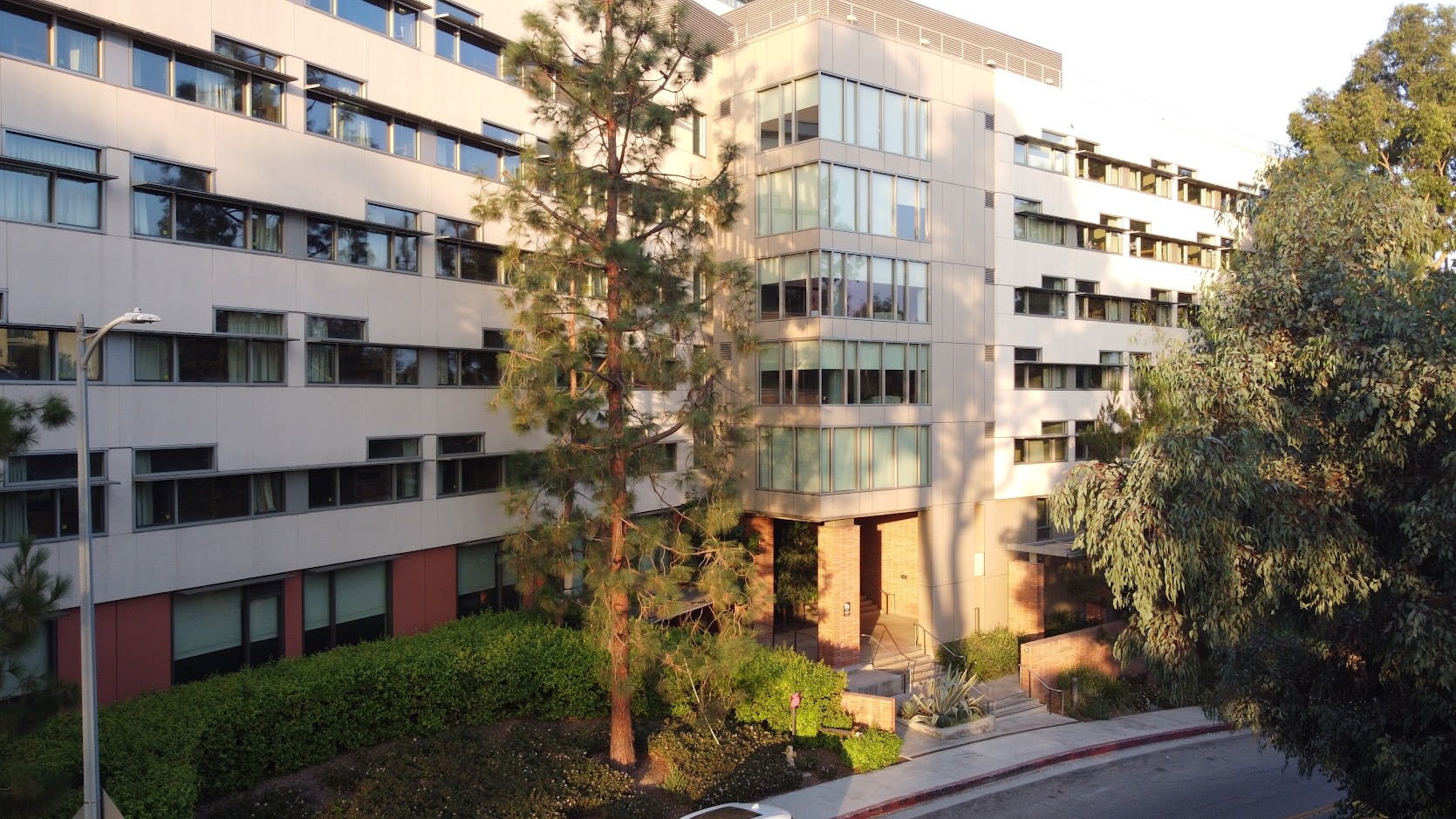 Gardenia, ucla, 470 Gayley Avenue, Los Angeles 90024