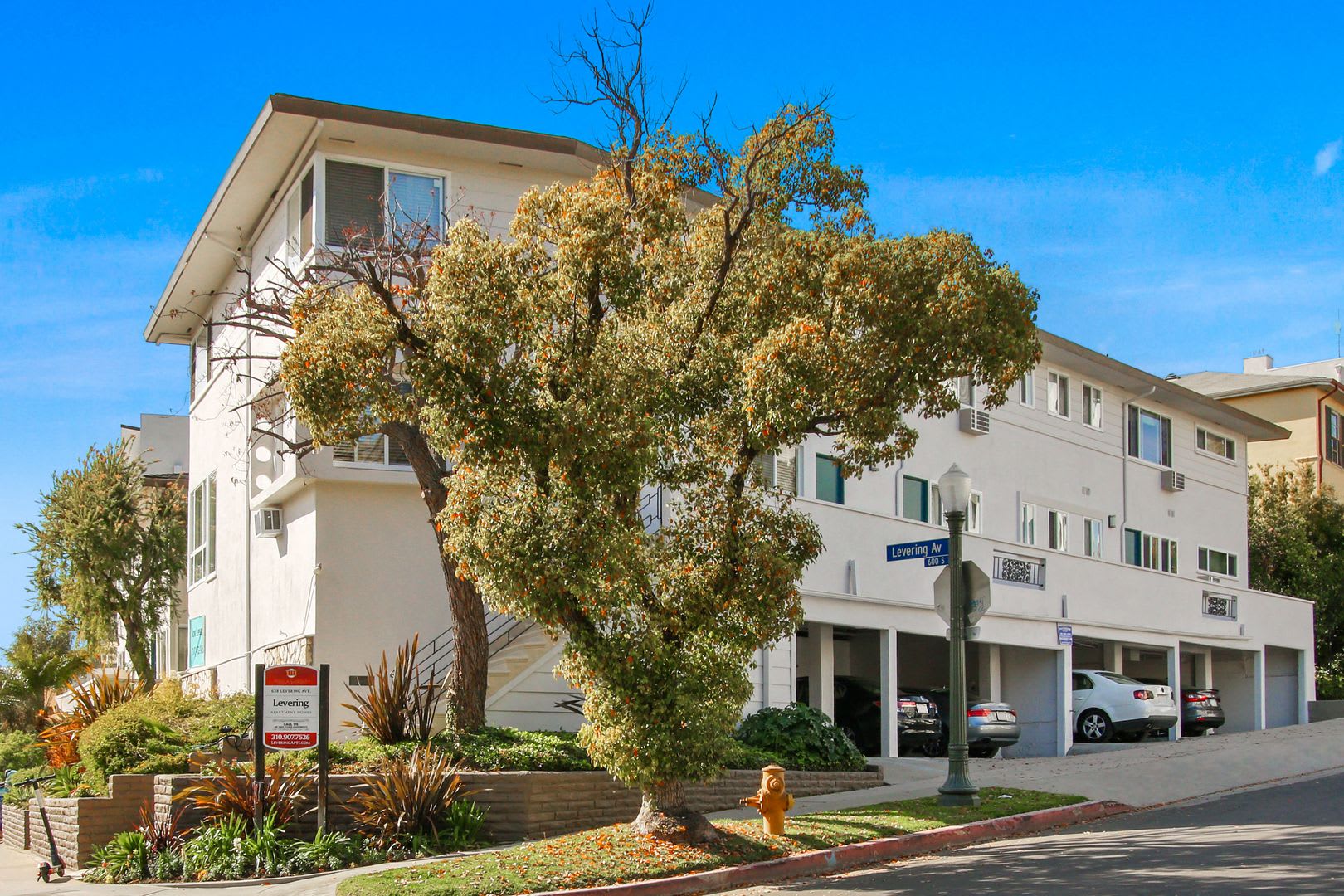 628 Levering, ucla, 628-638 Levering Ave, Los Angeles, CA 90024