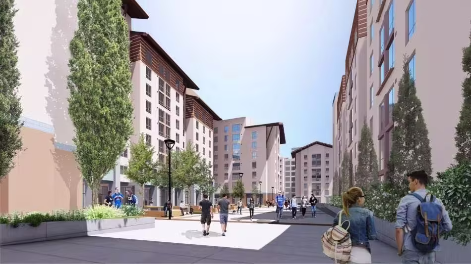 Tipuana, ucla, 900 Weyburn Place, North Los Angeles, CA 90095