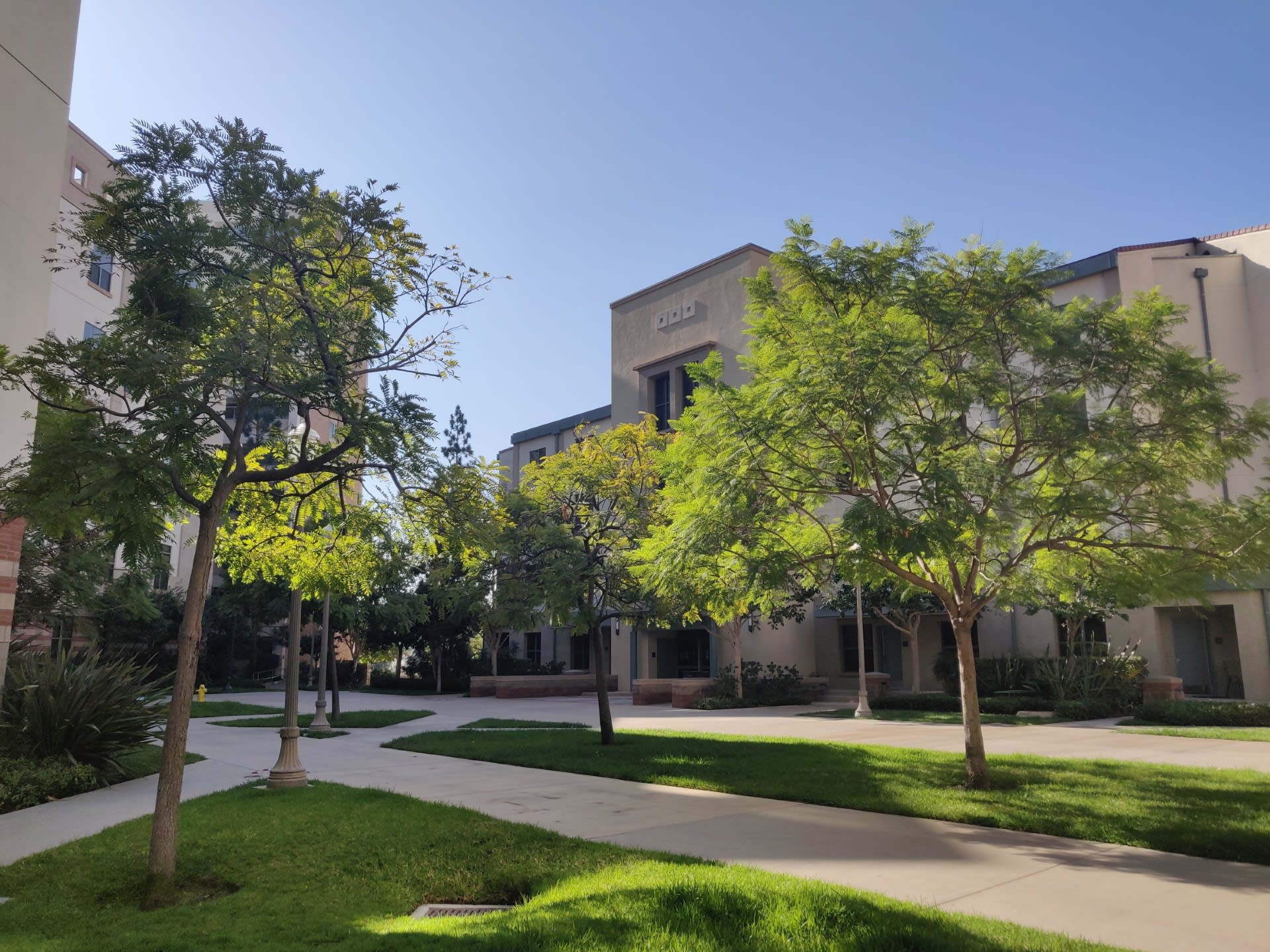 Fir, ucla, 381 Charles E Young Drive West, Los Angeles, CA 90024
