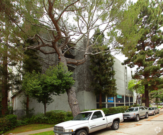 655 Kelton Ave, ucla, 655 Kelton Ave, Los Angeles, CA 90024, USA