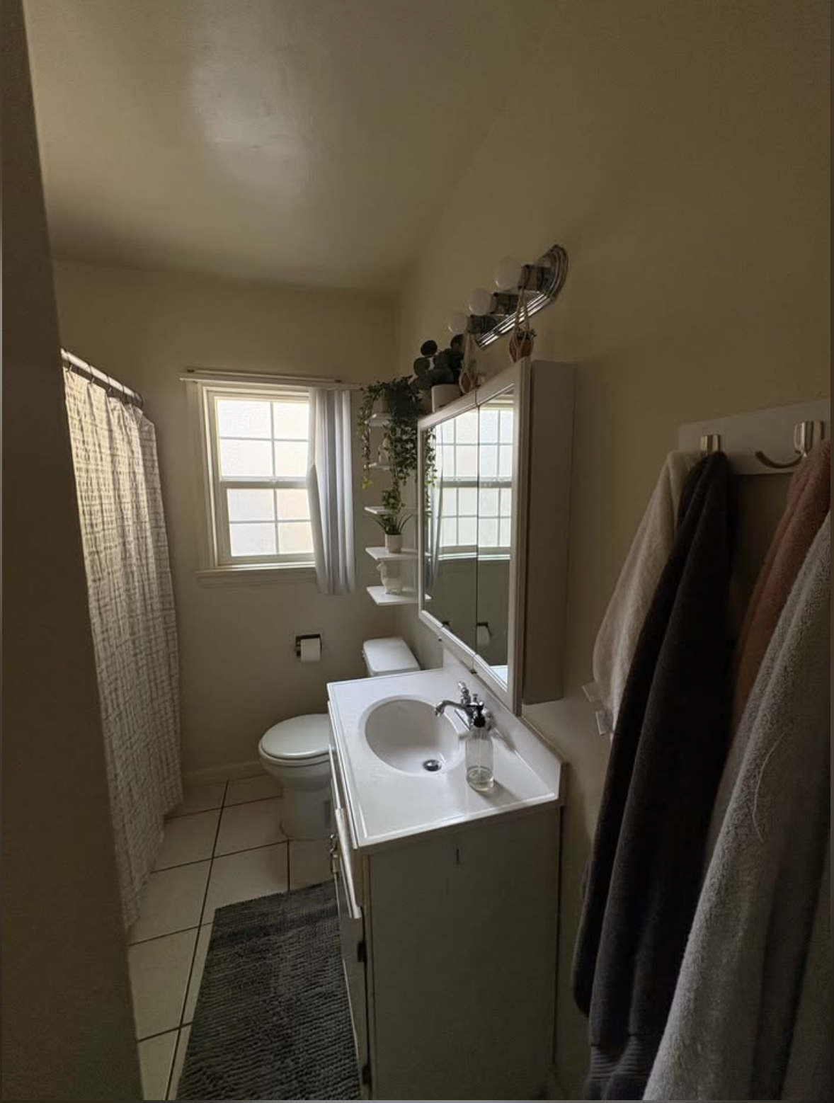 Kelton Sublet, ucla, 551 Kelton Ave, Los Angeles, CA 90024, USA, Photo:3