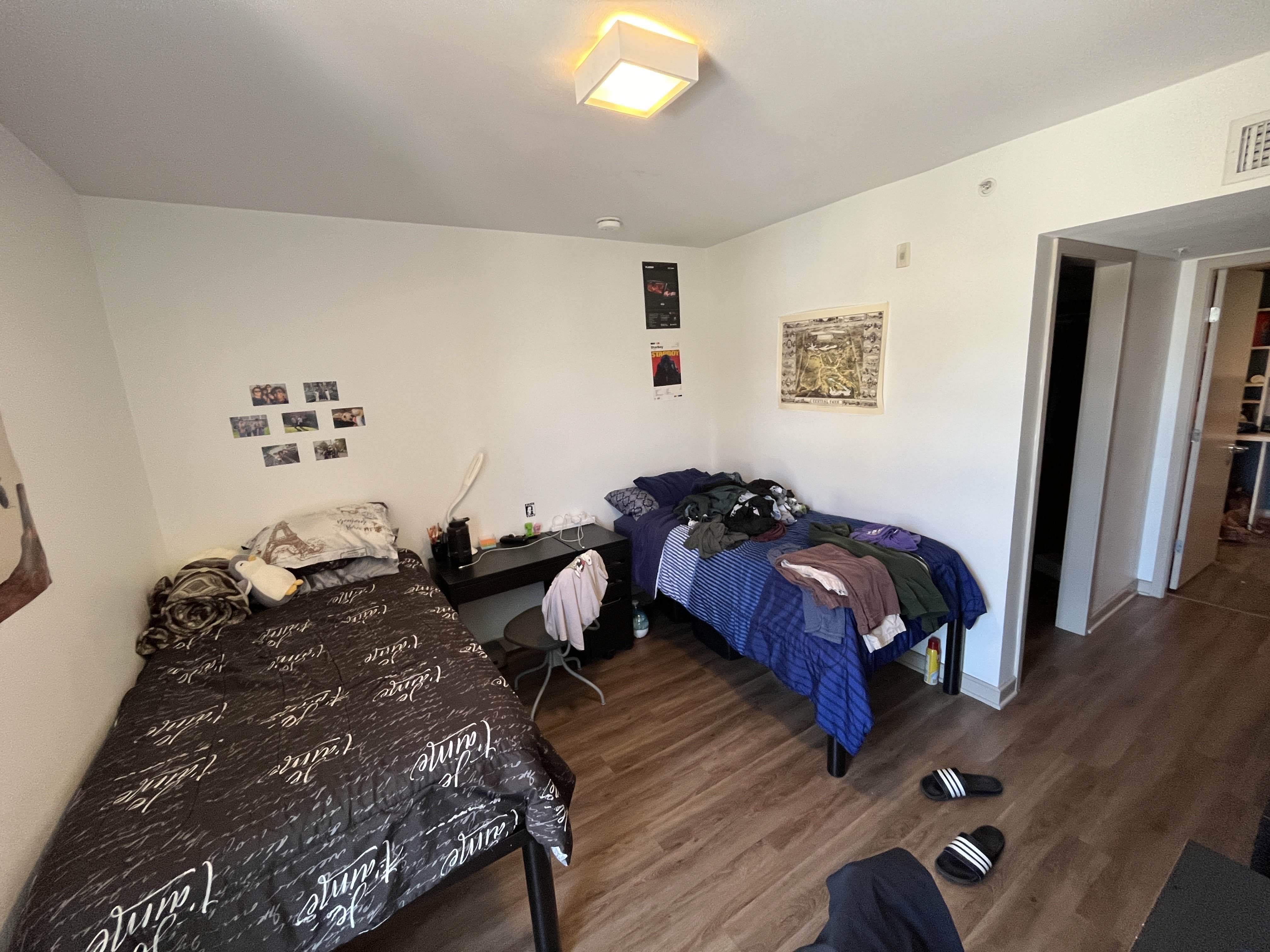 Village Lofts, ucla, 11024 Strathmore Dr #301, Los Angeles, CA 90024, USA, Photo:2