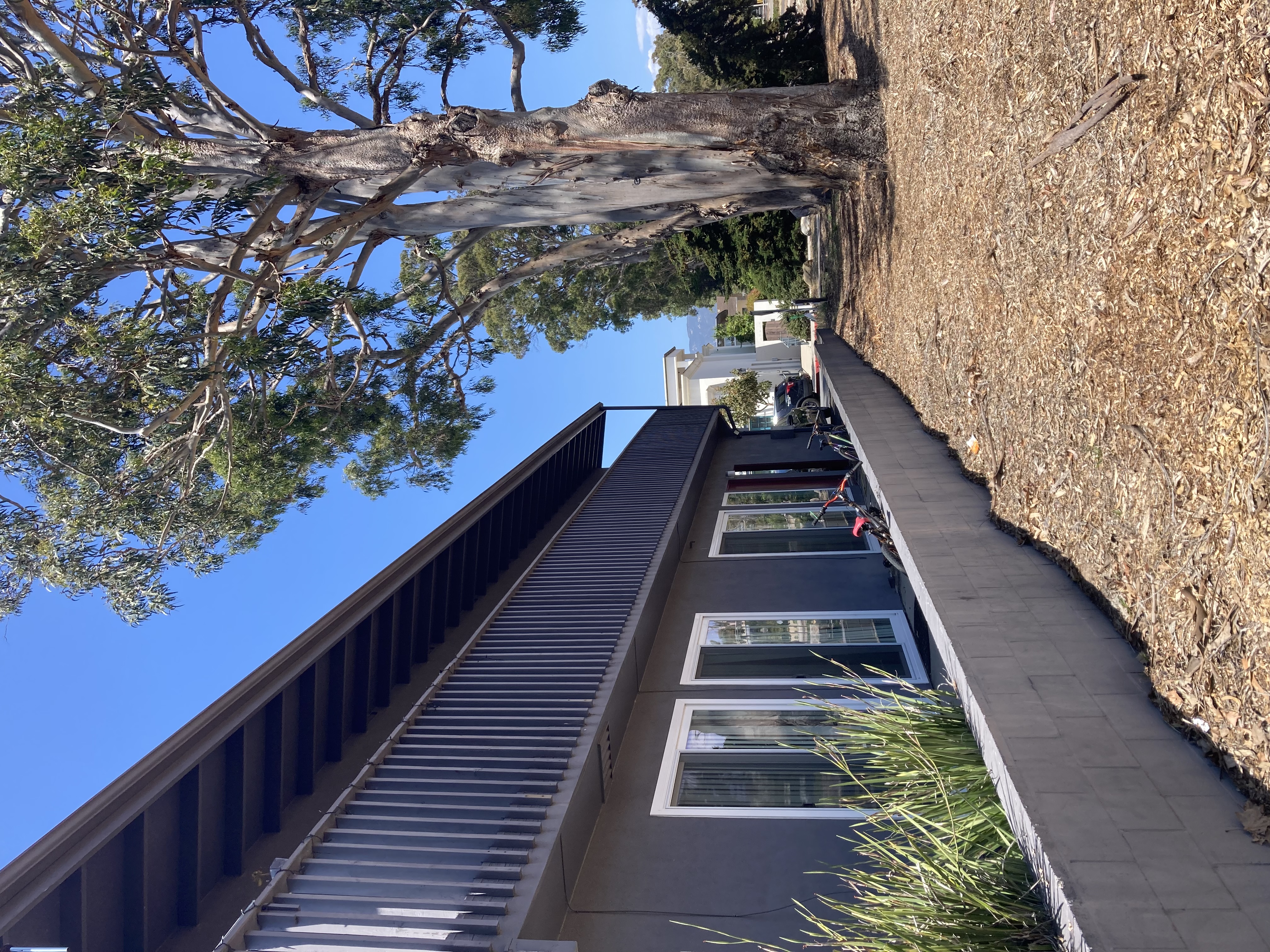 Sierra Property Management, ucsb, 6501 Trigo Rd, Isla Vista, CA 93117, USA, Photo:0