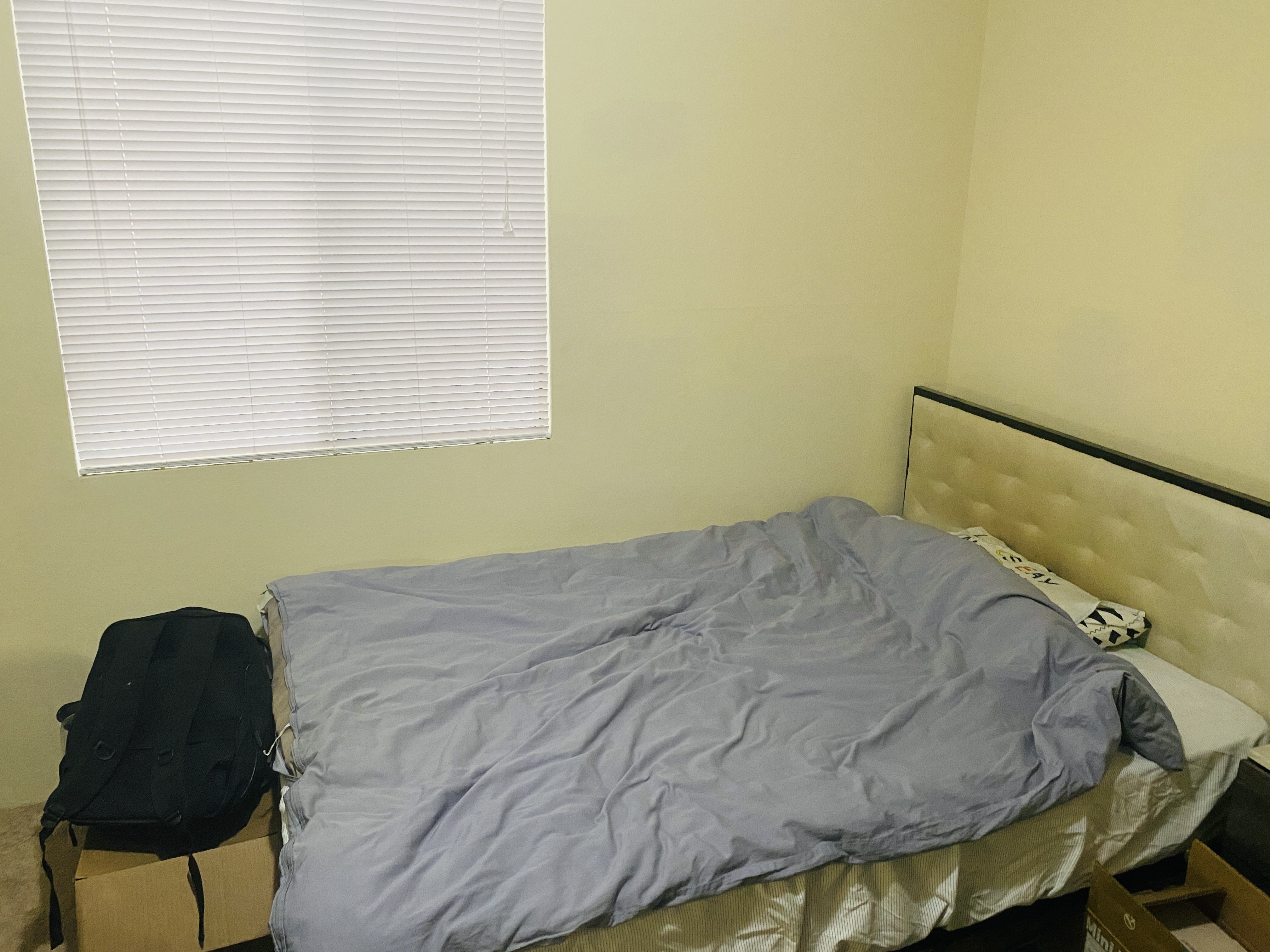 Private Room, ucla, 512 Veteran Ave, Los Angeles, CA 90024, USA, Photo:1