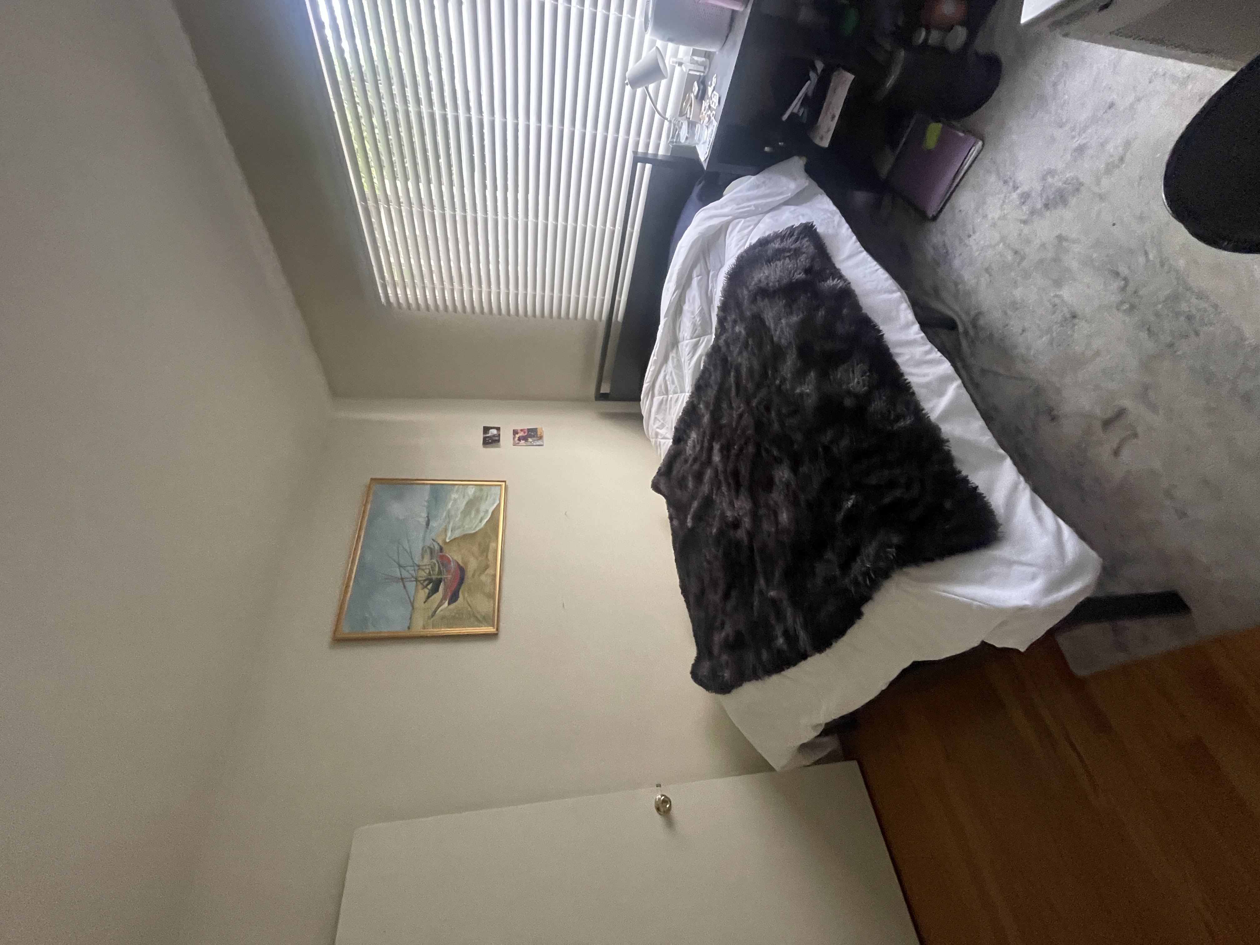 476 Midvale (spacious, cheap, close to campus), ucla, 476 Midvale Ave, Los Angeles, CA 90024, USA, Photo:0