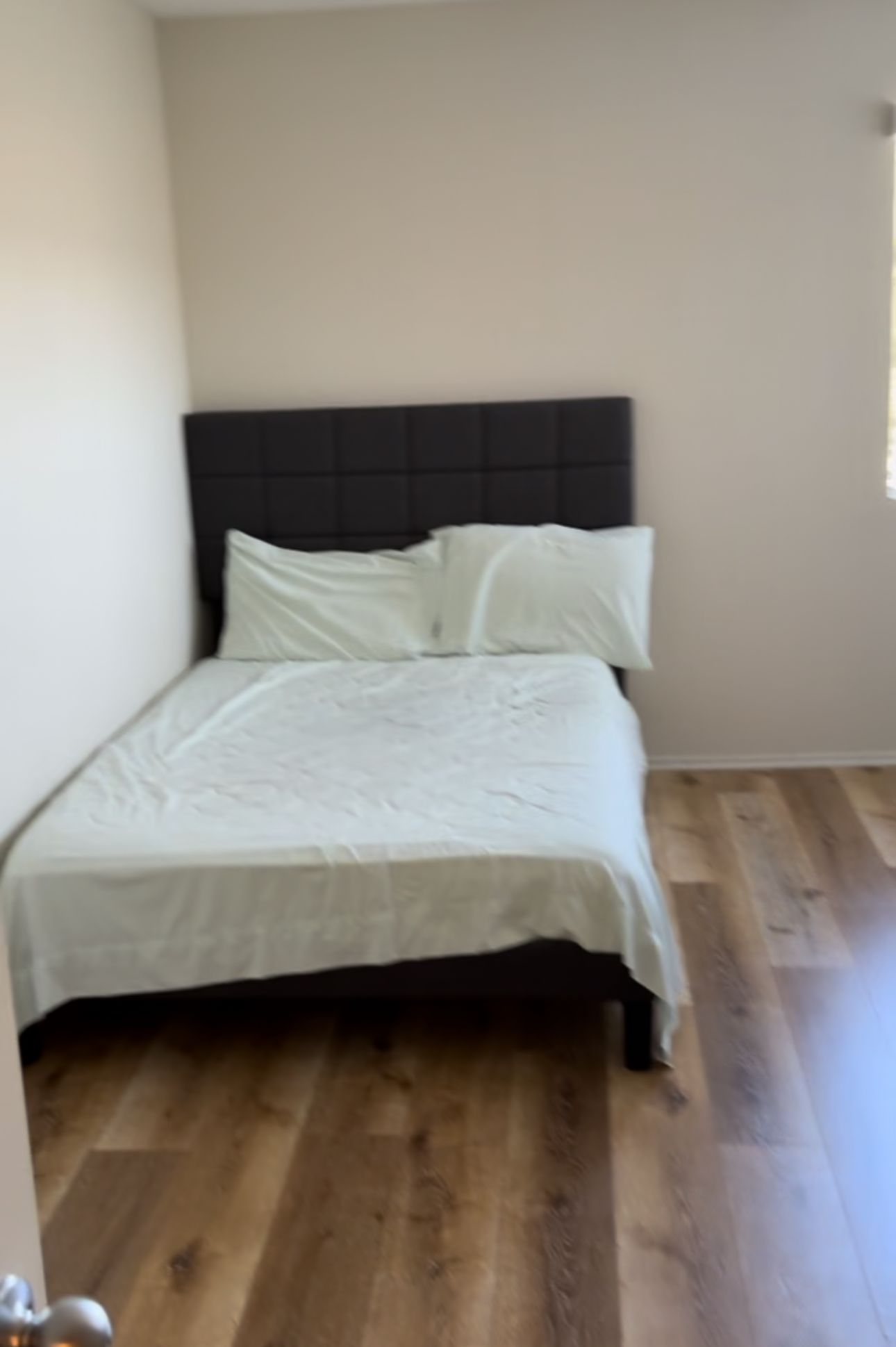 Strathmore Regency, ucla, 11050 Strathmore Dr, Los Angeles, CA 90024, USA, Photo:1